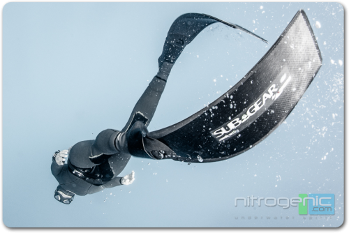 FREEDIVING IMAGE 2.PNG