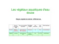 Veg aquatique 1.jpg
