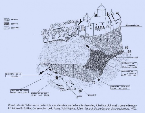 Chillon nord 2.jpg