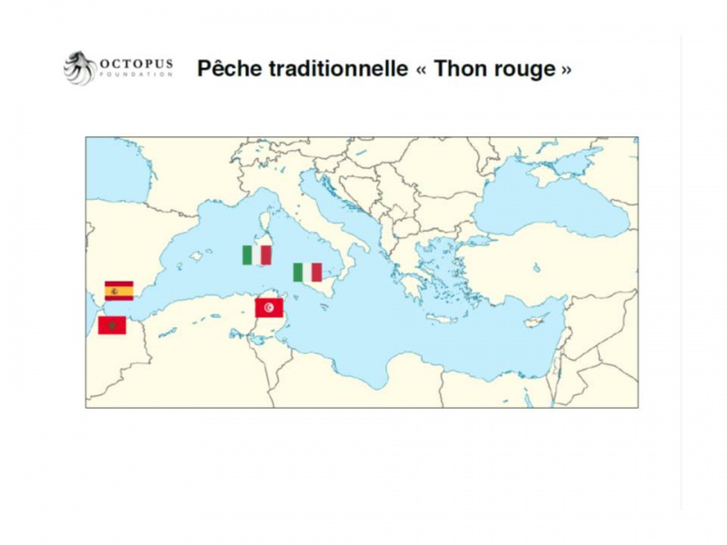 Fichier:DiaJP-16.jpg