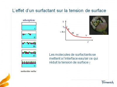 Tension de surface.jpg