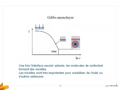 Gibbs-Monolayer.jpg