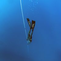 Freediving-1383103 1280.jpg