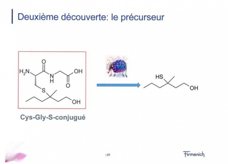 Précurseur Transpirol r.jpg