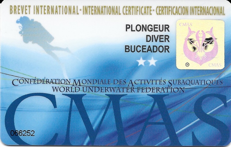 Fichier:Carte-cmas-P2.jpeg