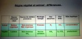 Vignette pour la version du 2 mars 2014 à 18:18