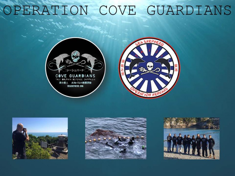 Fichier:Dia 22 Cove Guardians.jpg