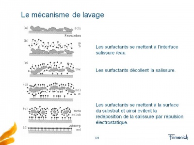 Mecanisme de lavage.jpg