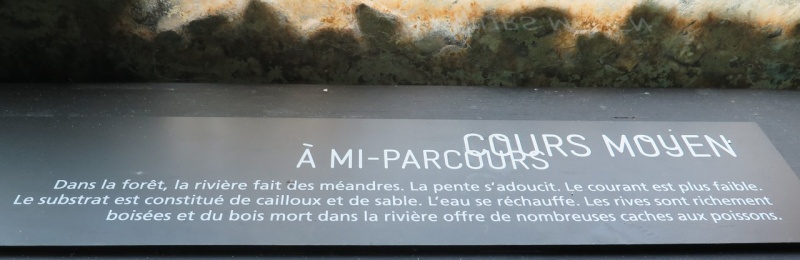 Fichier:MR IMG 4374b cwz.jpg