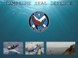 SS Dia 24 Seal Defence.jpg