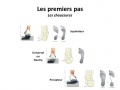 Vignette pour la version du 2 avril 2012 à 22:05