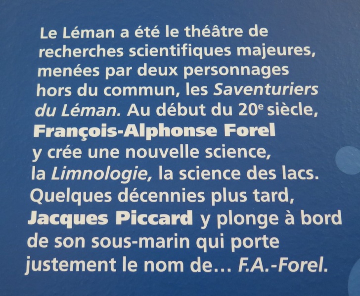 Fichier:MR IMG 3356a cwz.jpg
